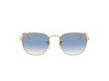 Ray-Ban Frank Zonnebril RB 3857 9196/3F