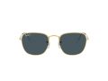 Ray-Ban Frank Zonnebril RB 3857 9196/S2