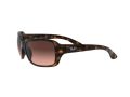 Ray-Ban Rb4068 Zonnebril RB 4068 642/A5