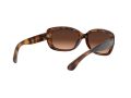 Ray-Ban Jackie Ohh Zonnebril RB 4101 642/A5