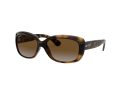 Ray-Ban Jackie Ohh Zonnebril RB 4101 710/T5