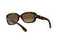 Ray-Ban Jackie Ohh Zonnebril RB 4101 710/T5