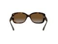 Ray-Ban Jackie Ohh Zonnebril RB 4101 710/T5