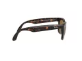 Ray-Ban Folding Wayfarer Zonnebril RB 4105 710