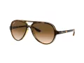 Ray-Ban Cats 5000 Zonnebril RB 4125 710/51