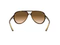 Ray-Ban Cats 5000 Zonnebril RB 4125 710/51