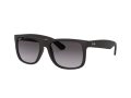 Ray-Ban Justin Zonnebril 4165 601/8G