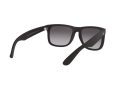 Ray-Ban Justin Zonnebril 4165 601/8G
