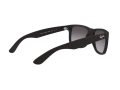 Ray-Ban Justin Zonnebril 4165 601/8G