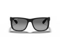 Ray-Ban Justin Zonnebril 4165 622/T3