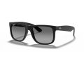 Ray-Ban Justin Zonnebril 4165 622/T3