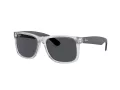 Ray-Ban Justin Zonnebril RB 4165 651287