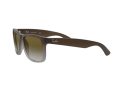Ray-Ban Justin Zonnebril RB 4165 854/7Z