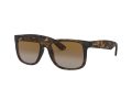 Ray-Ban Justin Zonnebril RB 4165 865/T5