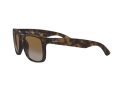 Ray-Ban Justin Zonnebril RB 4165 865/T5