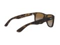 Ray-Ban Justin Zonnebril RB 4165 865/T5