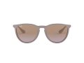Ray-Ban Erika Zonnebril RB 4171 6000/68