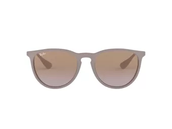 Ray-Ban Erika Zonnebril RB 4171 6000/68