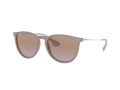 Ray-Ban Erika Zonnebril RB 4171 6000/68