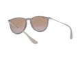 Ray-Ban Erika Zonnebril RB 4171 6000/68