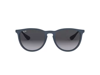 Ray-Ban Erika Zonnebril RB 4171 6002/8G