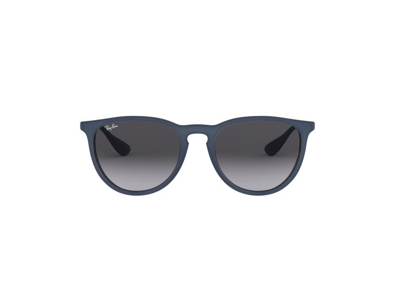 Ray-Ban Erika Zonnebril RB 4171 6002/8G