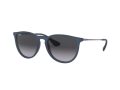 Ray-Ban Erika Zonnebril RB 4171 6002/8G