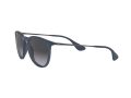 Ray-Ban Erika Zonnebril RB 4171 6002/8G
