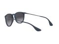 Ray-Ban Erika Zonnebril RB 4171 6002/8G