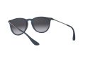 Ray-Ban Erika Zonnebril RB 4171 6002/8G