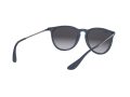Ray-Ban Erika Zonnebril RB 4171 6002/8G