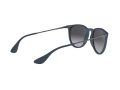 Ray-Ban Erika Zonnebril RB 4171 6002/8G