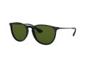Ray-Ban Erika Zonnebril RB 4171 601/2P