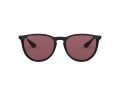 Ray-Ban Erika Zonnebril RB 4171 601/5Q