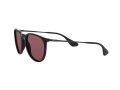 Ray-Ban Erika Zonnebril RB 4171 601/5Q