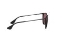 Ray-Ban Erika Zonnebril RB 4171 601/5Q