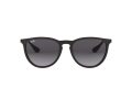 Ray-Ban Erika Zonnebril RB 4171 622/8G