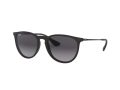 Ray-Ban Erika Zonnebril RB 4171 622/8G