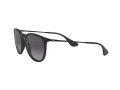 Ray-Ban Erika Zonnebril RB 4171 622/8G