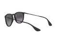 Ray-Ban Erika Zonnebril RB 4171 622/8G