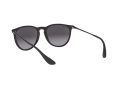 Ray-Ban Erika Zonnebril RB 4171 622/8G