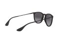 Ray-Ban Erika Zonnebril RB 4171 622/8G