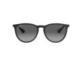 Ray-Ban Erika Zonnebril RB 4171 622/T3