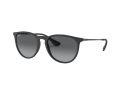 Ray-Ban Erika Zonnebril RB 4171 622/T3