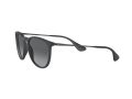 Ray-Ban Erika Zonnebril RB 4171 622/T3