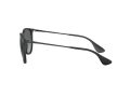 Ray-Ban Erika Zonnebril RB 4171 622/T3