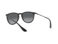 Ray-Ban Erika Zonnebril RB 4171 622/T3