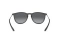 Ray-Ban Erika Zonnebril RB 4171 622/T3