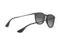 Ray-Ban Erika Zonnebril RB 4171 622/T3