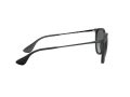 Ray-Ban Erika Zonnebril RB 4171 622/T3